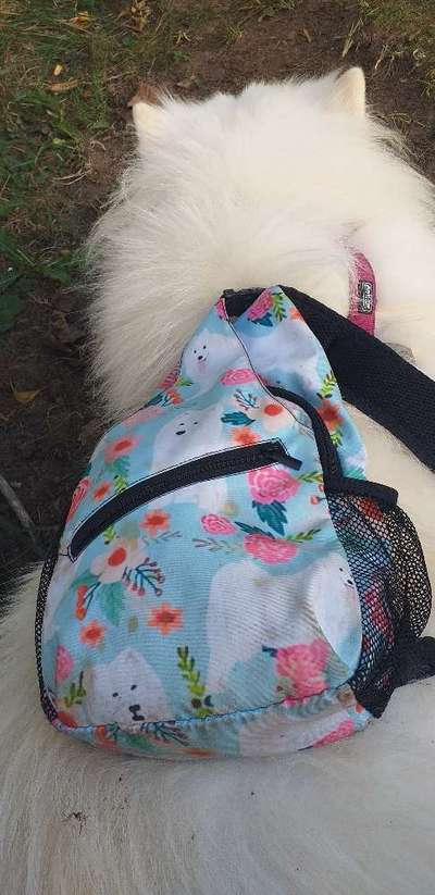 48. Collagen Challenge: Das Leben ist bunt-Beitrag-Bild