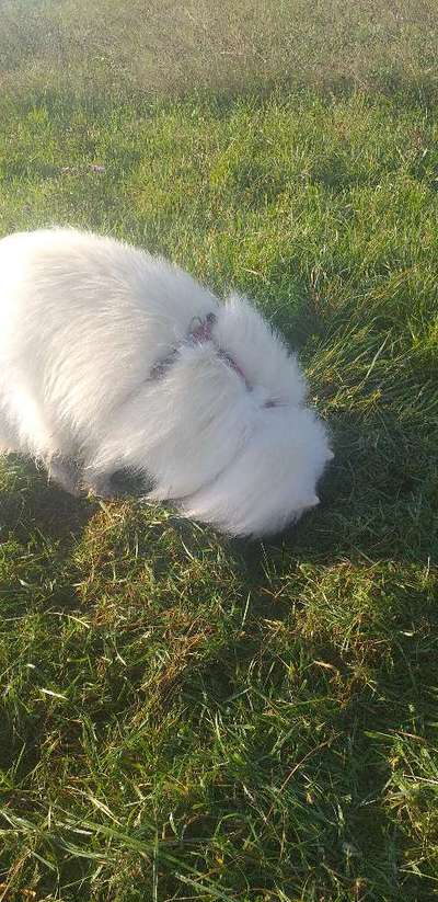 53. Collage Challenge - Verschiedene Blickwinkel-Beitrag-Bild