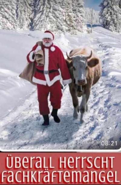 Hunde Memes-Beitrag-Bild