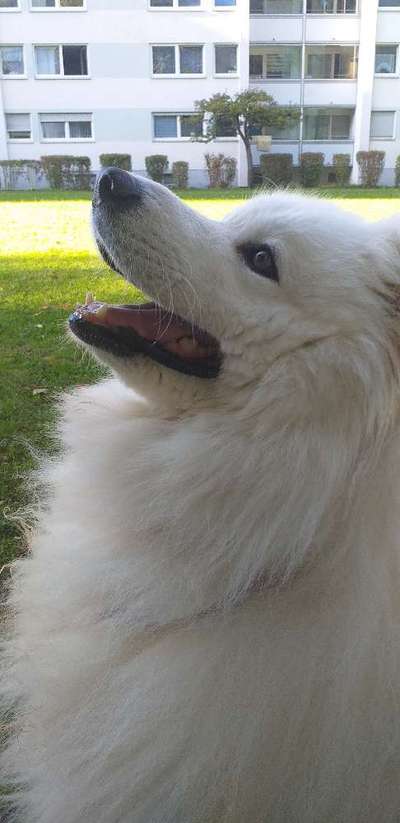 147. Foto Challenge: Bettelblick-Beitrag-Bild