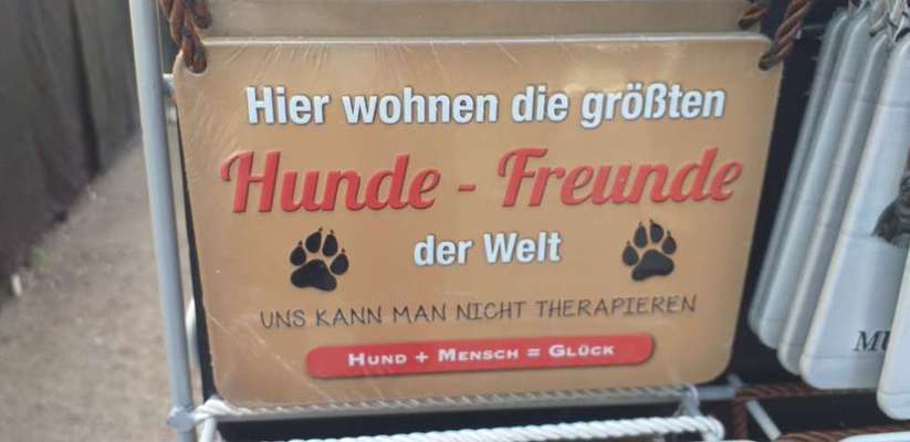 Hunde Memes-Beitrag-Bild