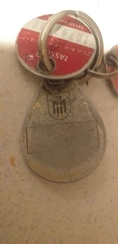 Hunde Memes-Beitrag-Bild