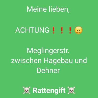 Giftköder-Rattengift-Bild