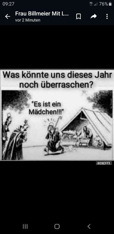 Hunde Memes-Beitrag-Bild