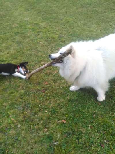 155. FotoChallange * David und Goliath *-Beitrag-Bild