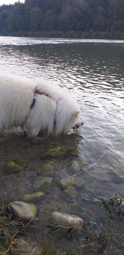 53. Collage Challenge - Verschiedene Blickwinkel-Beitrag-Bild