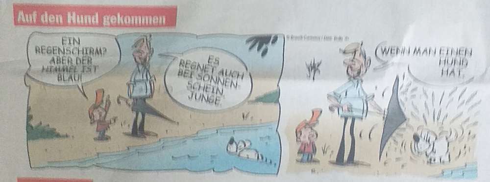 Hunde Memes-Beitrag-Bild