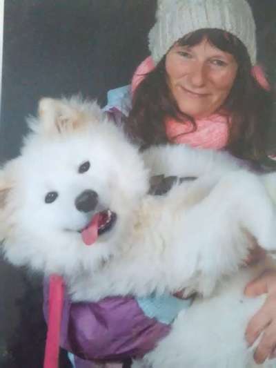 Samojede-Beitrag-Bild