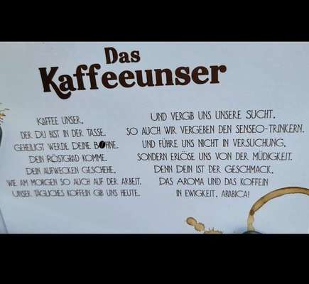 Hunde Memes-Beitrag-Bild