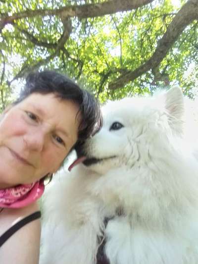 65. Handy Foto Challange                     "Ich kann nicht ohne..."-Beitrag-Bild