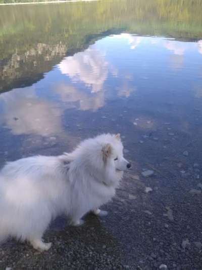 48. Collagen Challenge: Das Leben ist bunt-Beitrag-Bild