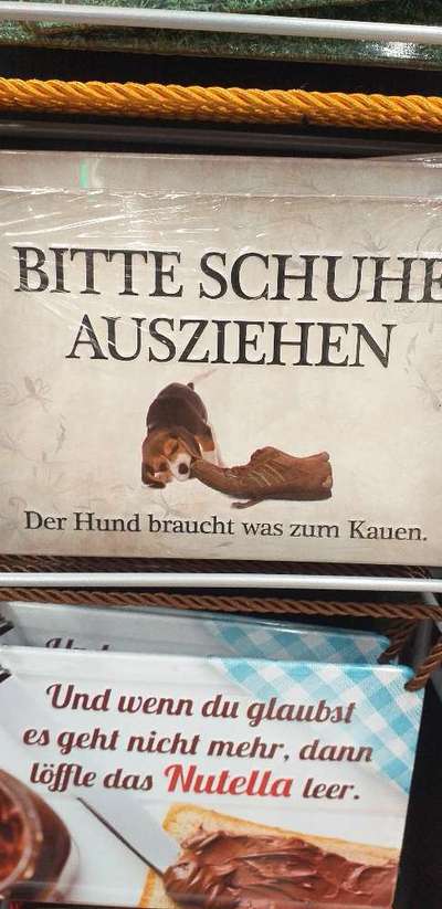 Hunde Memes-Beitrag-Bild