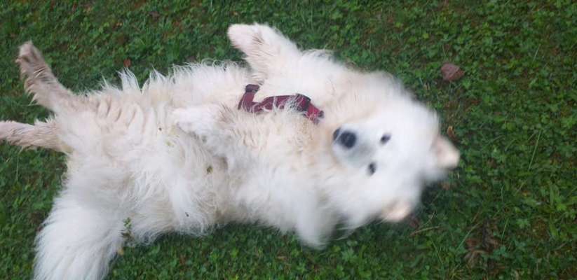 53. Collage Challenge - Verschiedene Blickwinkel-Beitrag-Bild