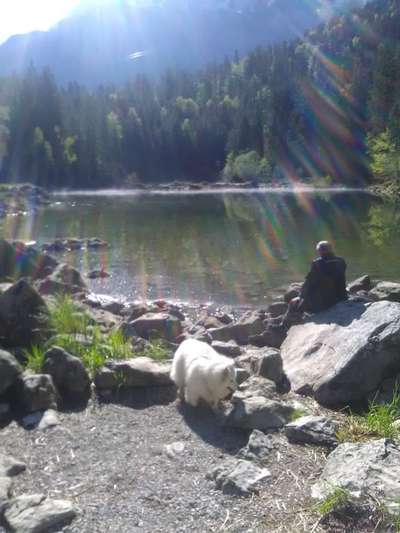 Kurzgeschichten-Challenge Nr. 18-Beitrag-Bild