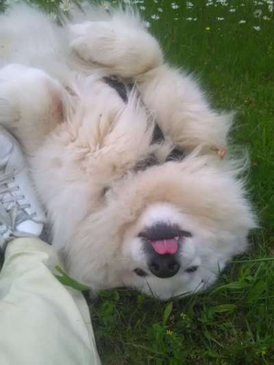 Foto Challenge - Zeigt her eure Bäuche-Beitrag-Bild