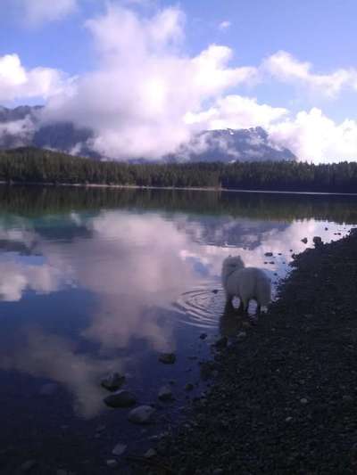 Kurzgeschichten-Challenge Nr. 18-Beitrag-Bild