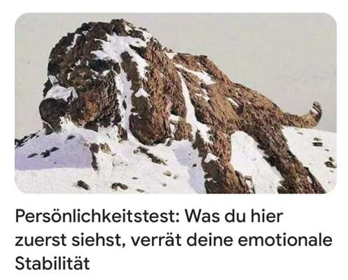 Hunde Memes-Beitrag-Bild