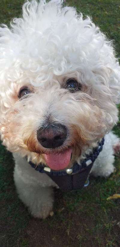 147. Foto Challenge: Bettelblick-Beitrag-Bild