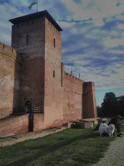 Dogorama Photo Challenge - Türme-Beitrag-Bild