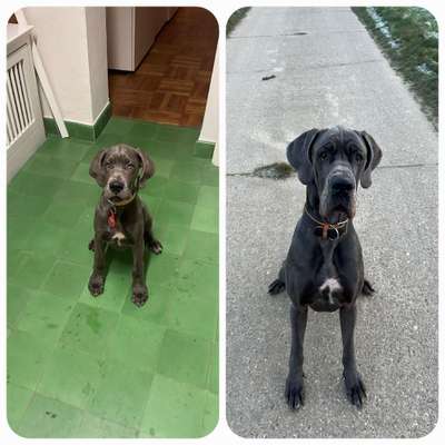 28. Handy-Fotochallenge - Damals und heute-Beitrag-Bild