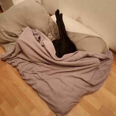 Die unbequemsten und lustigsten Schlafpositionen-Beitrag-Bild