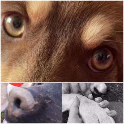 Blick fürs Detail!-Beitrag-Bild