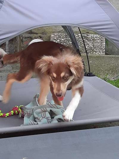 Un...scharf Bilder-Beitrag-Bild