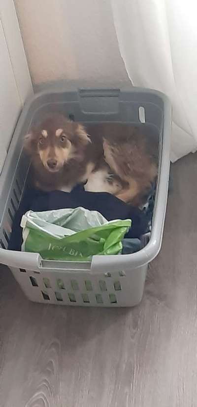 Foto Challenge 112 
ungewöhnliche Schlafplätze-Beitrag-Bild