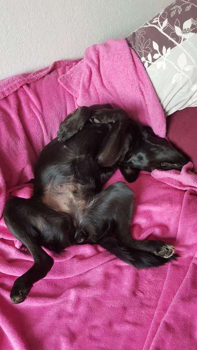 Relaxen im bett-Beitrag-Bild