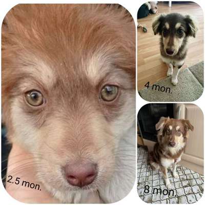 Vorher.... Nachher-Beitrag-Bild