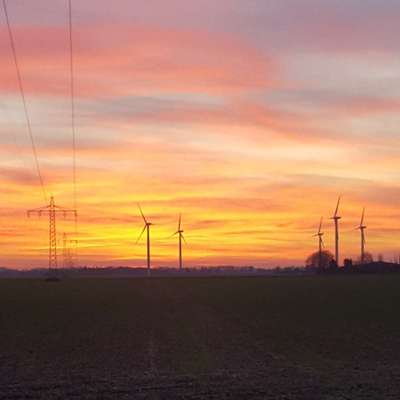 Die wunderschöne Welt mit Hund.-Beitrag-Bild