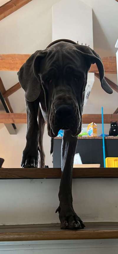 23. Handy Foto-Challenge-Beitrag-Bild