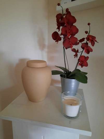 Unsere Fellnasen im Regenbogenland-Beitrag-Bild