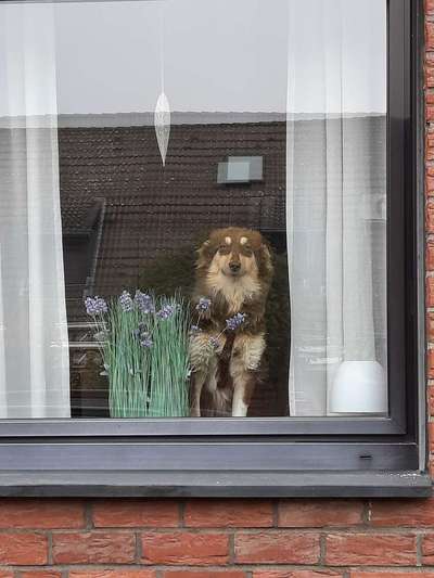 15. Handyfoto Challenge - Indoor Aktivitäten-Beitrag-Bild