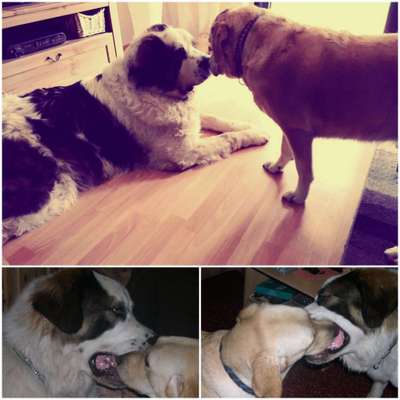 Fotochallenge liebespaare-Beitrag-Bild