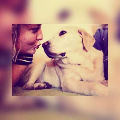 Hundmenschfotos-Beitrag-Bild