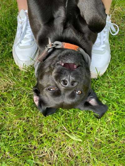 Handy-Foto Challange Nr. 10-Beitrag-Bild