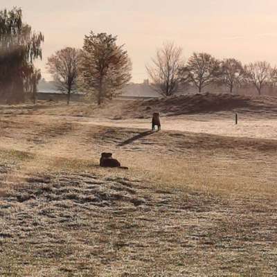 SonnenSTRAHLEN-Beitrag-Bild