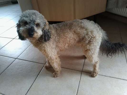 Vor dem Friseur - nach dem Friseur-Beitrag-Bild