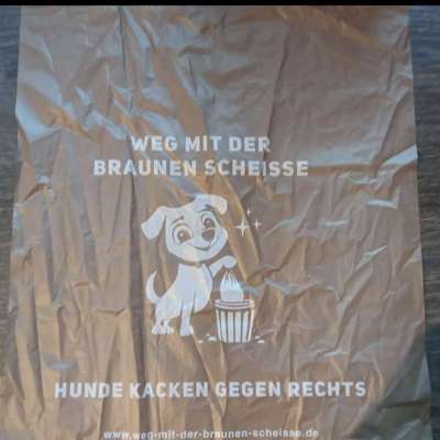 Kotbeutel-Empfehlungen-Beitrag-Bild