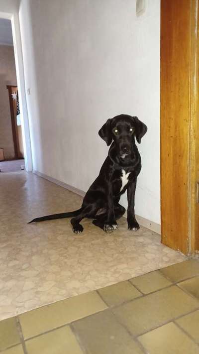 Bettel Blicke-Beitrag-Bild