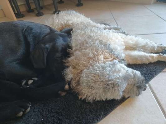 Ton in Ton-Beitrag-Bild