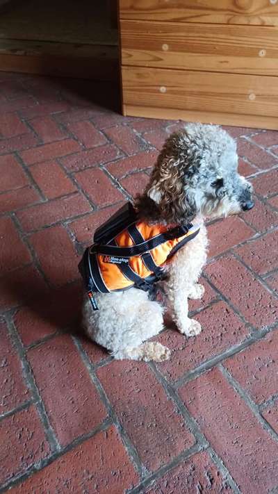 Schwimmweste / Rettungsweste - wann ja, wann nein?-Beitrag-Bild