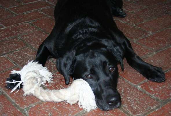 Außergewöhnliche Merkmale-Beitrag-Bild