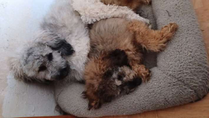 Fotochallenge 130-Beitrag-Bild