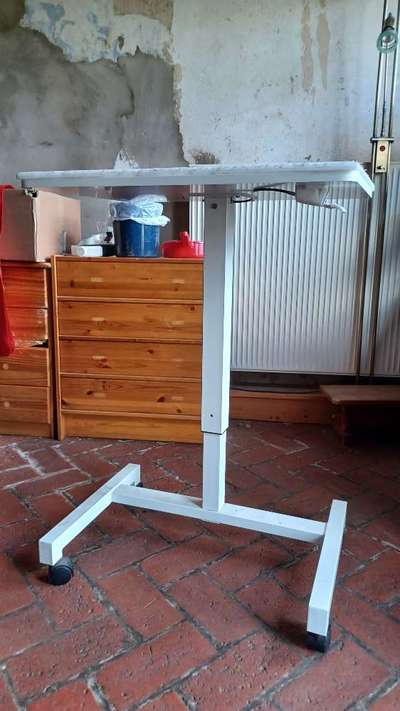 Alles rund um den Pudel-Beitrag-Bild