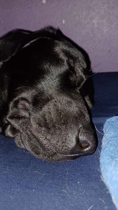 42. Handy Fotochallenge - Den richtigen Riecher haben-Beitrag-Bild