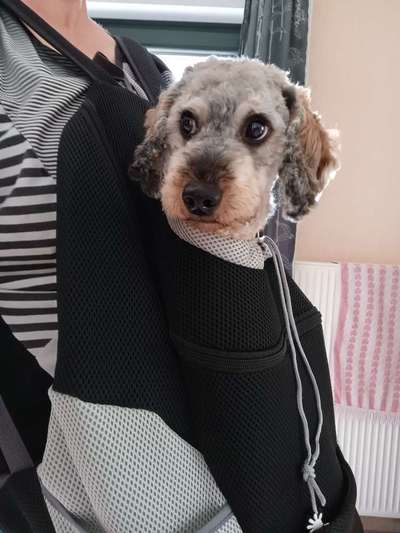 Fixateur extern - wie geht man damit um?-Beitrag-Bild