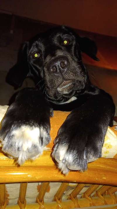 23. Handy Foto-Challenge-Beitrag-Bild