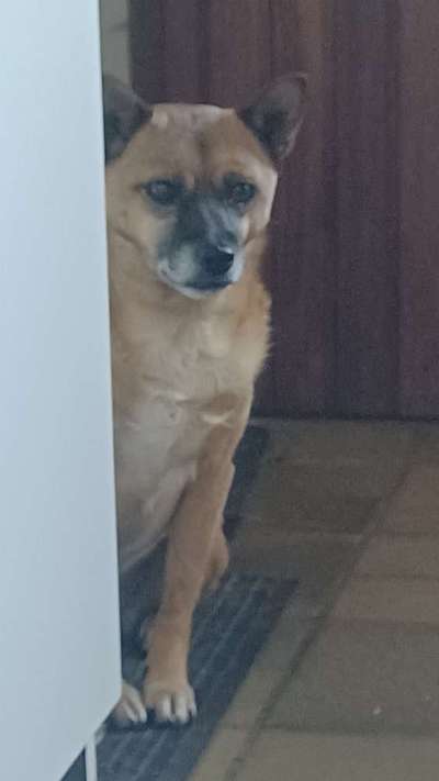 Bettel Blicke-Beitrag-Bild